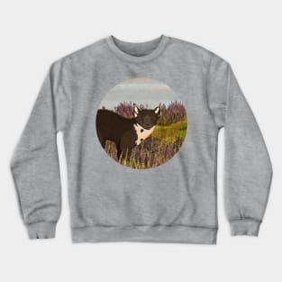 Pine Marten Crewneck Sweatshirt